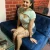 Vaishali vip genuine high profile girls availabl... Rajasthan