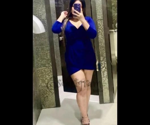 Call Girl DELHI Priya - Gallery Image 1