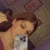 Vasant Vihar  Independent Escorts, Call Girls Se... Delhi