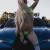 Lovren Shane High Class Russian Call Girl Kolkata