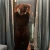 Meet Nidhi arora, a 27-year-old Sexy Beauty Matu... Delhi