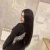 Meet Rita, a 22-year-old Sexy Beauty Mature esco... Delhi