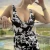 I’m Vantika Agrwal, a fascinating seductress and... Kolkata